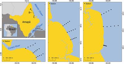 Baseline Study of Trace Element Concentrations in Sediments of the Intertidal Zone of Amazonian Oceanic Beaches